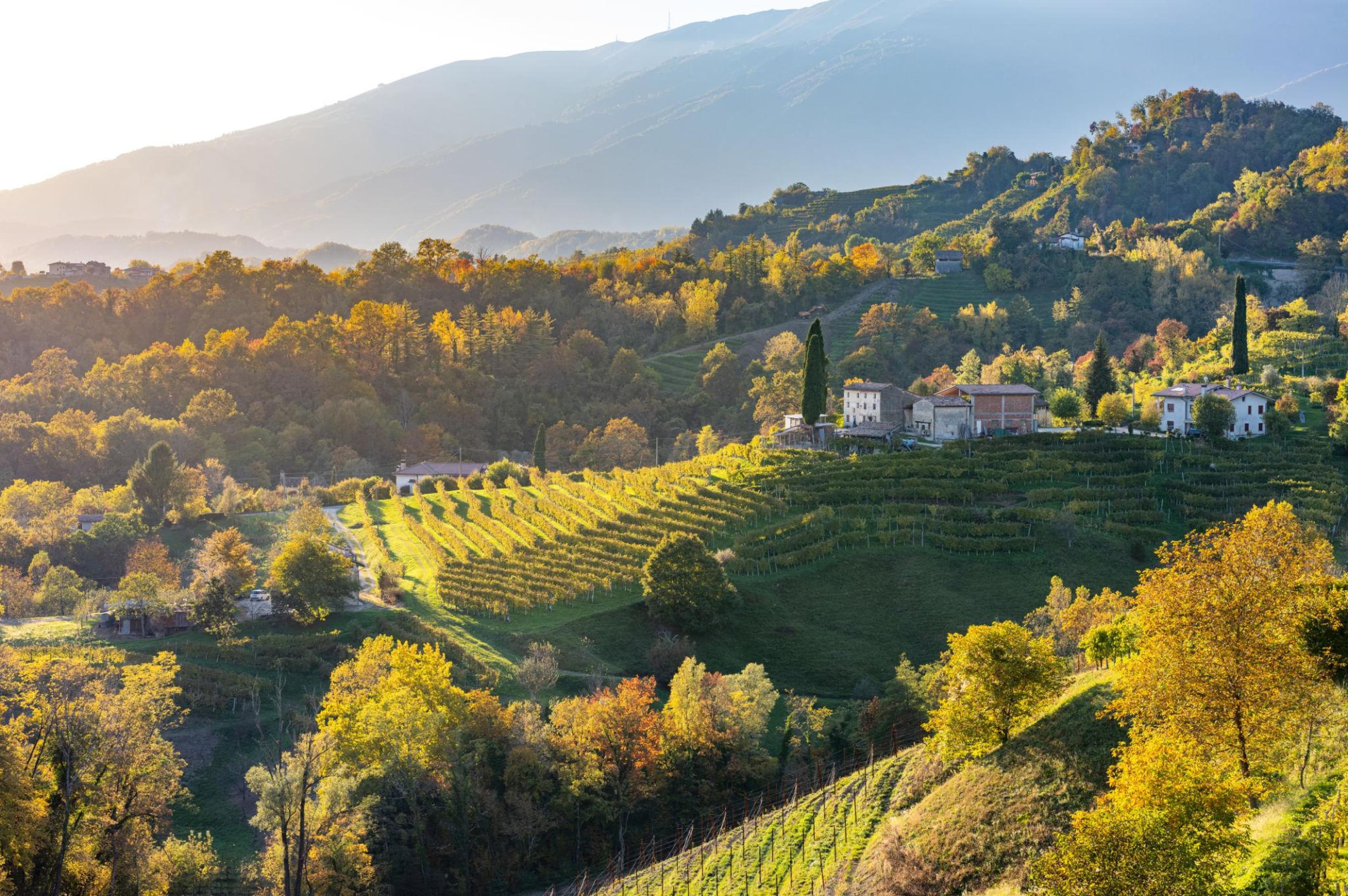 Valdobbiadene