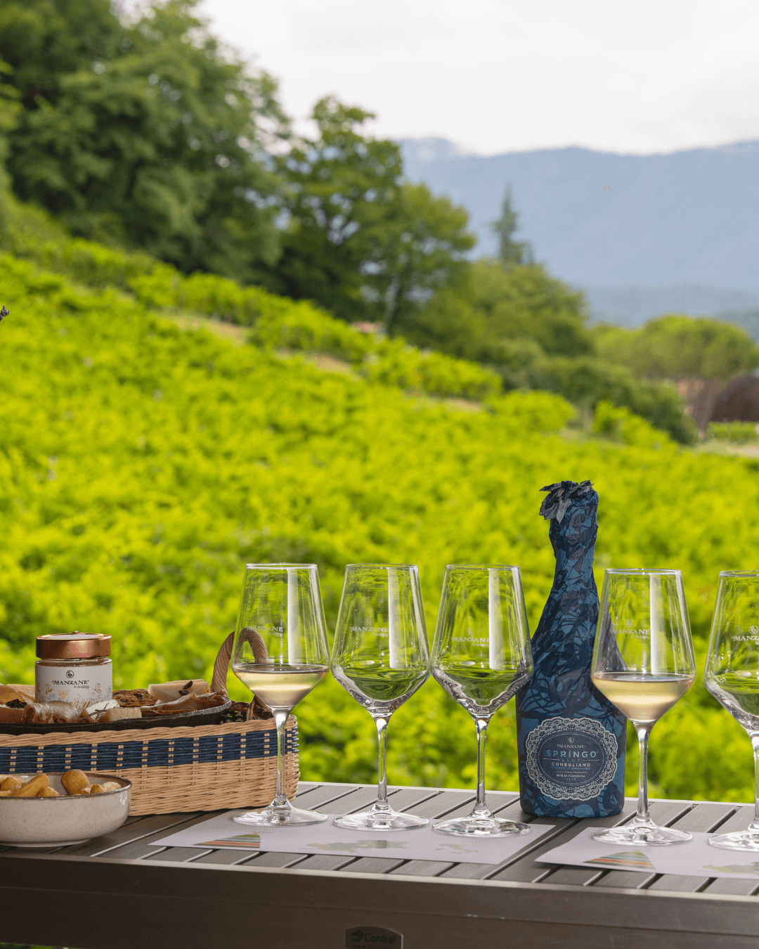 Gold Experience - Winery in the hillside & Brunch among the vineyards