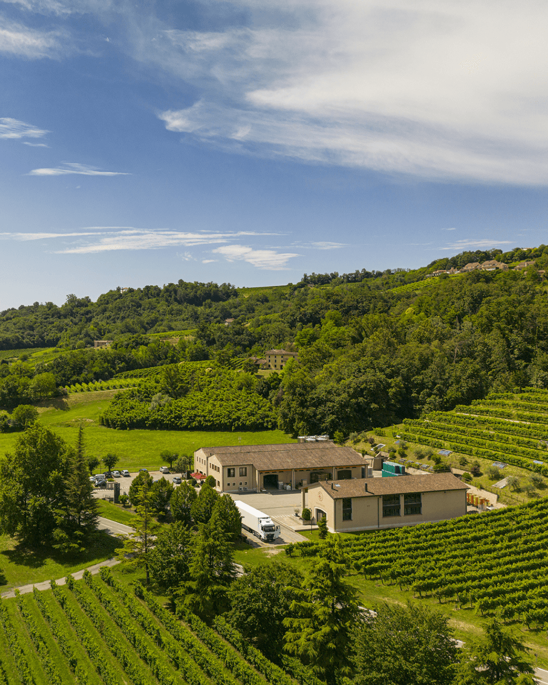 Vineyard Walk & Taste